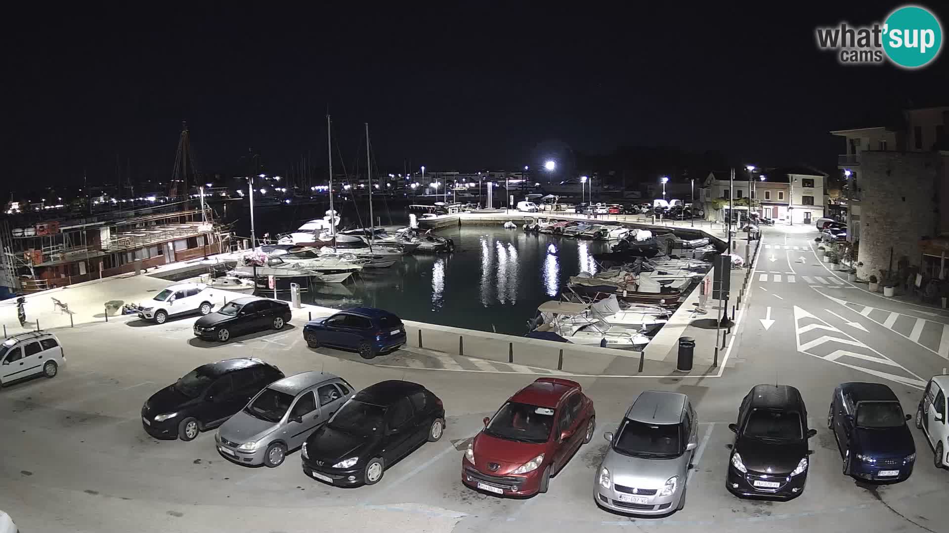 Novigrad | Porporela marina