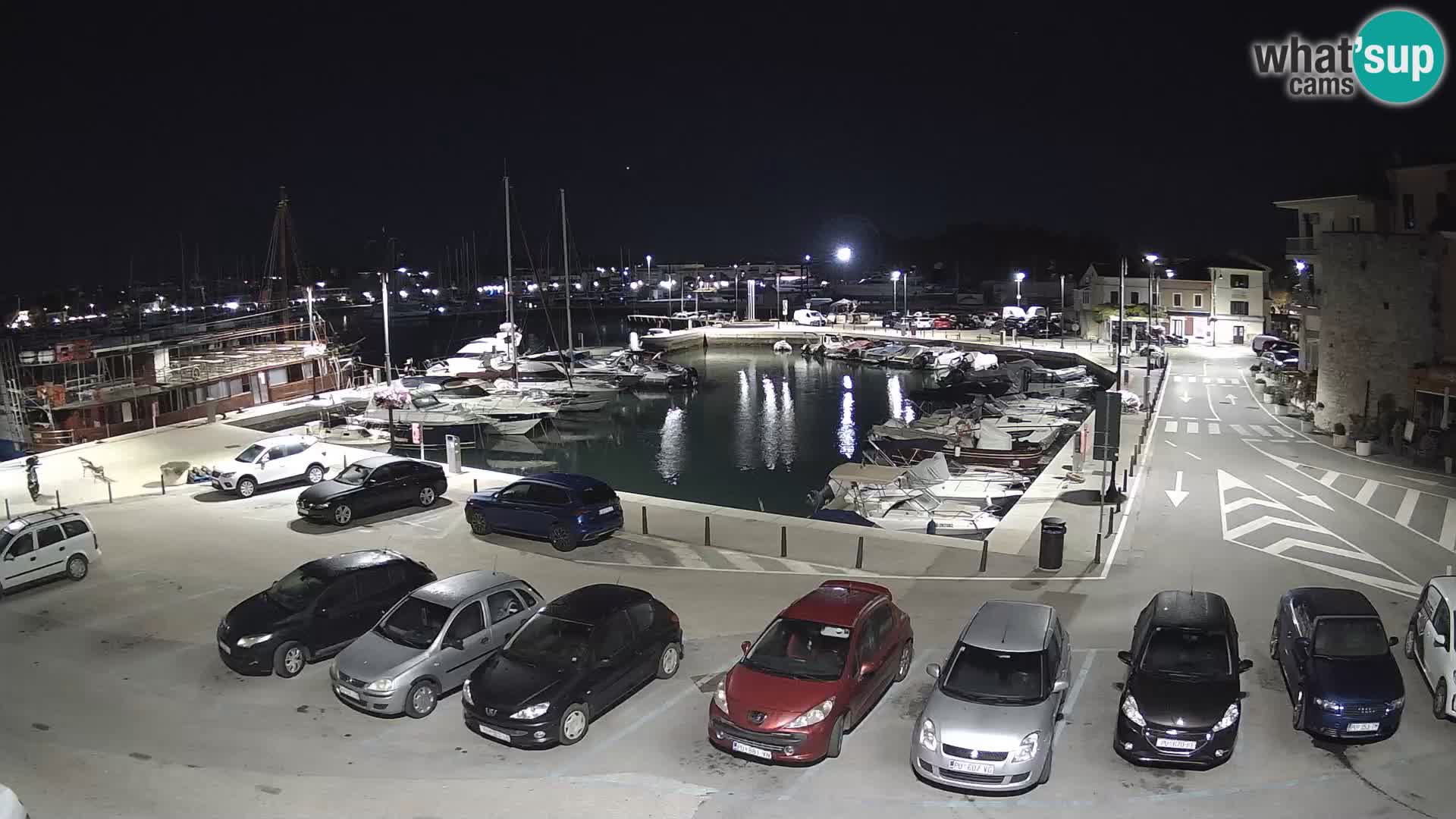 Novigrad | Porporela marina