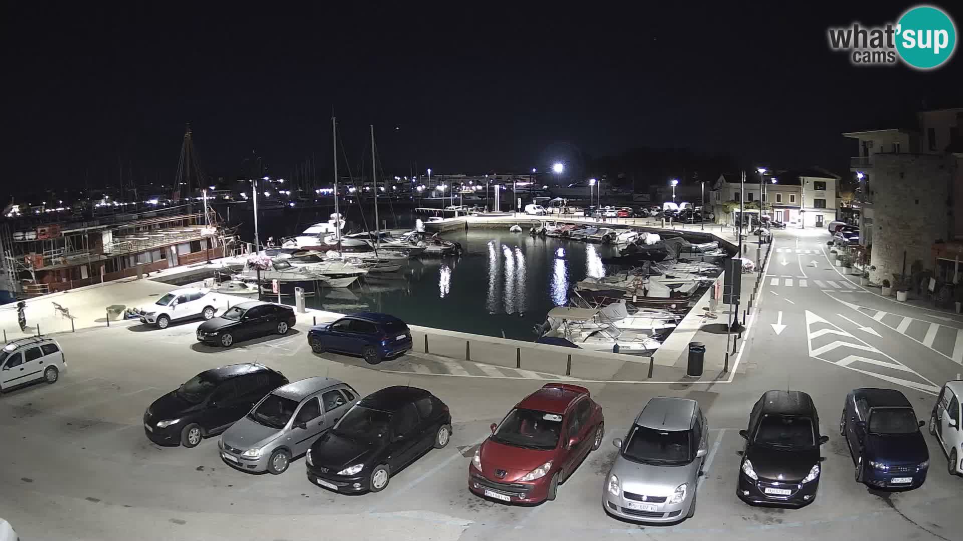 Novigrad | Porporela marina