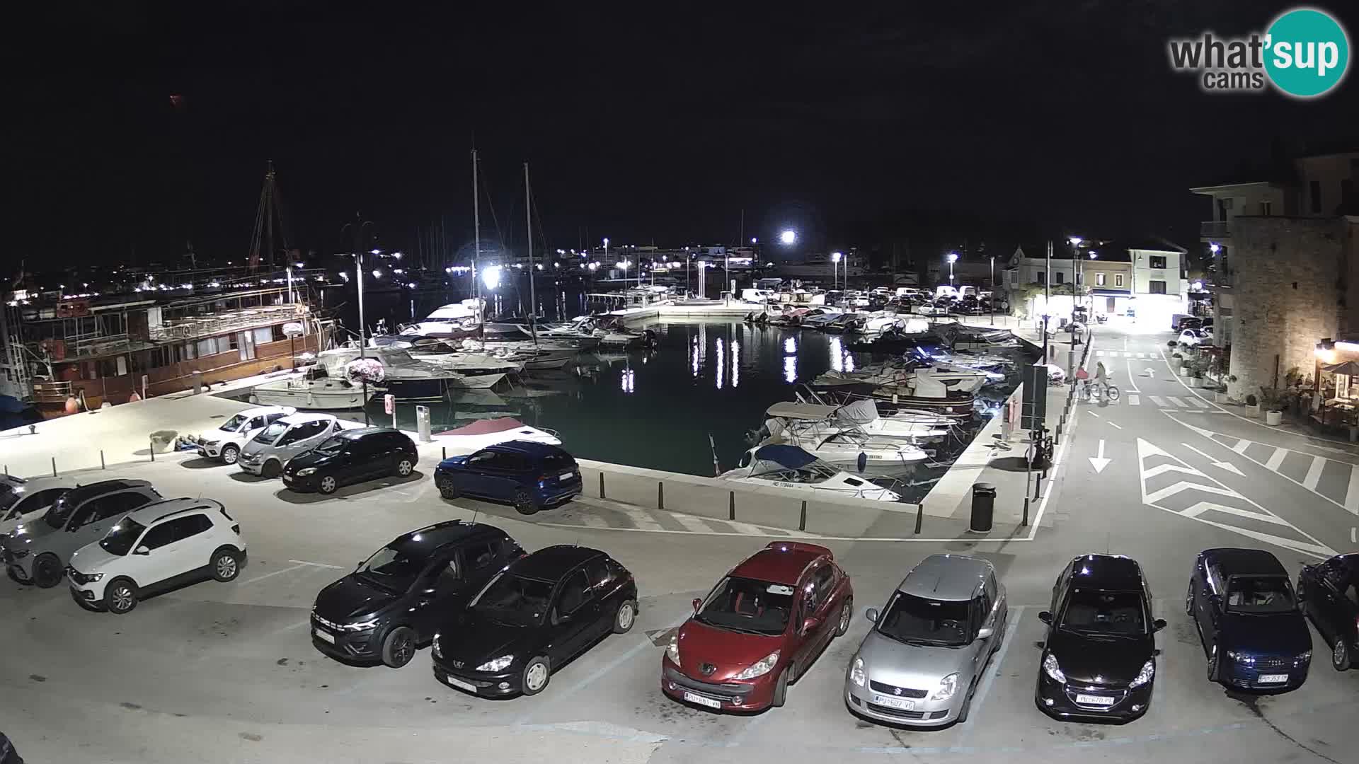 Novigrad | Porporela marina