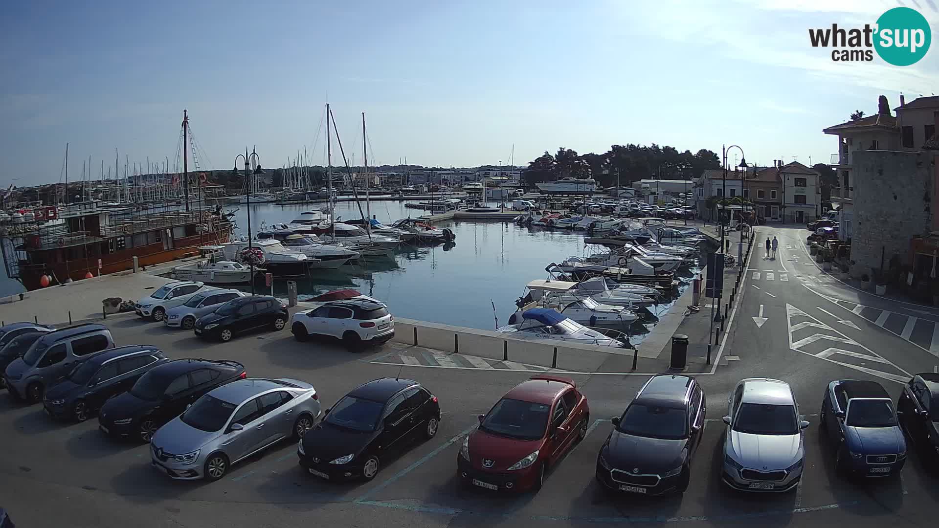 Novigrad | Porporela marina