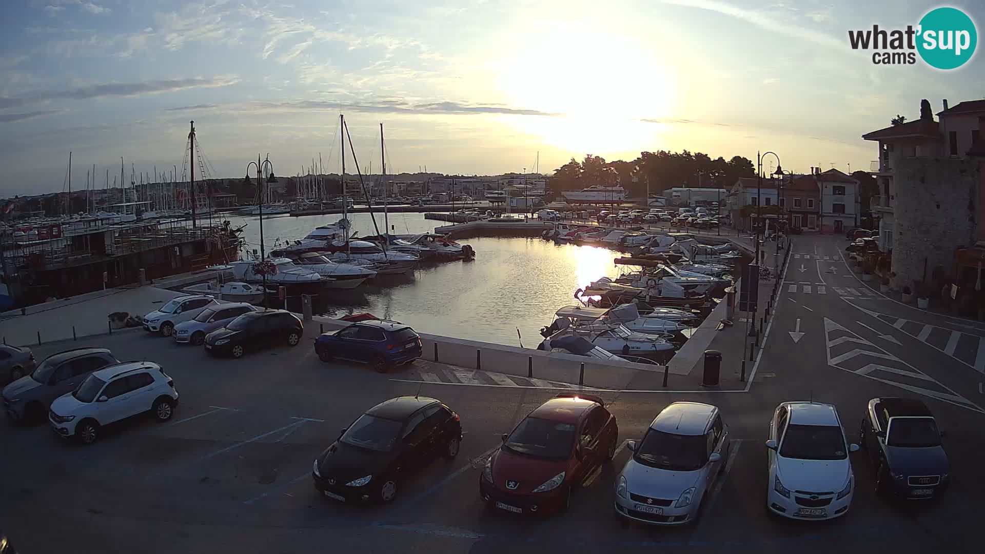 Novigrad | Porporela marina