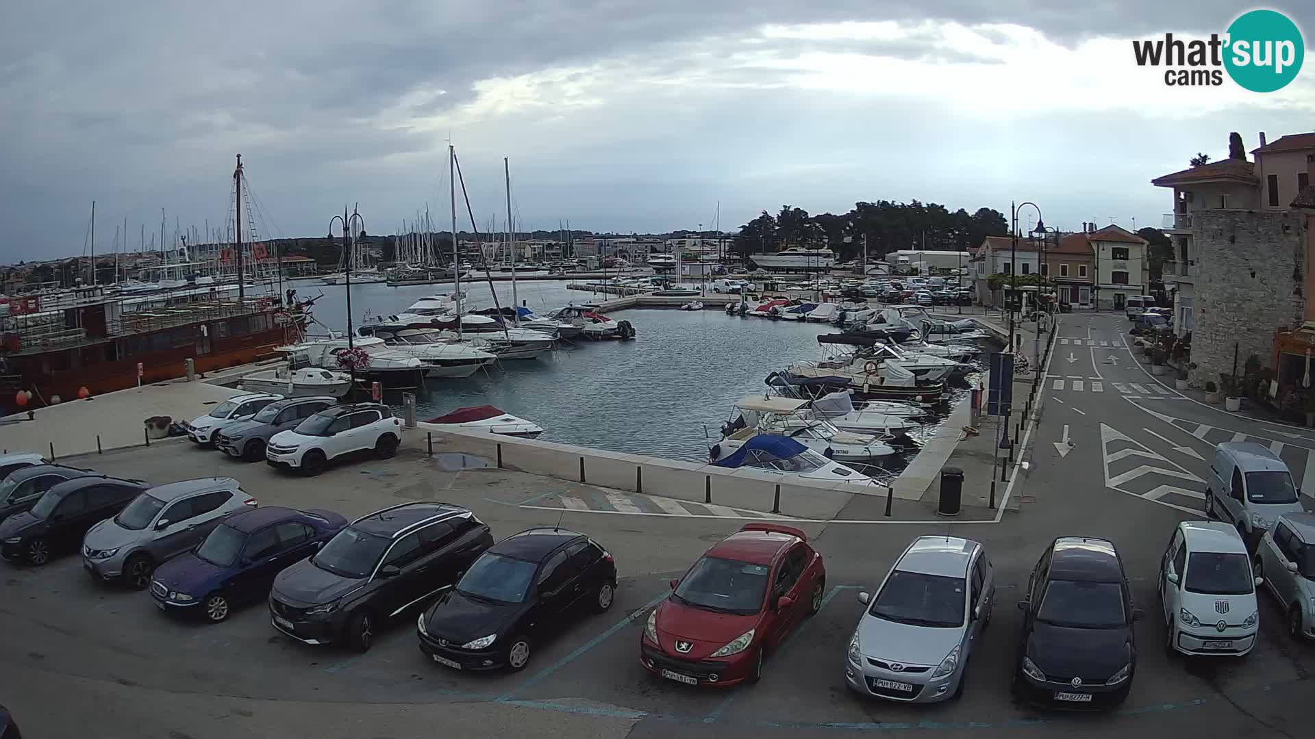 Novigrad | Porporela marina