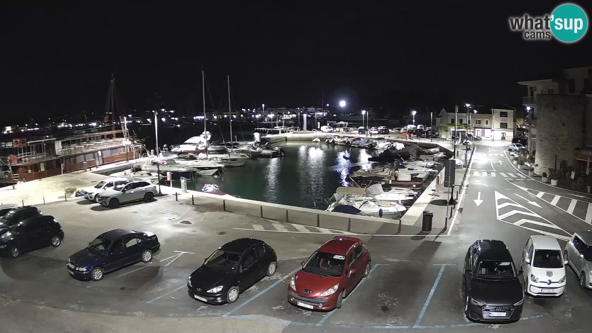 Novigrad | Porporela marina