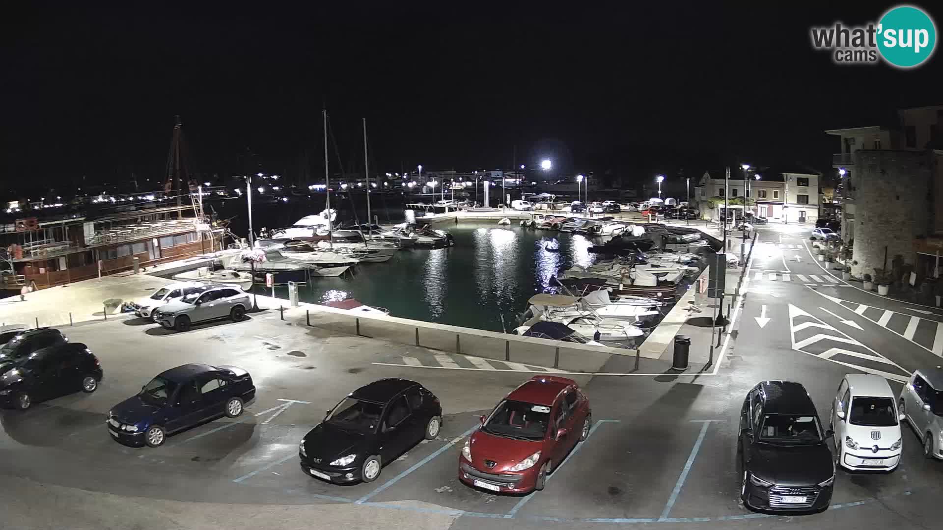 Novigrad | Porporela marina