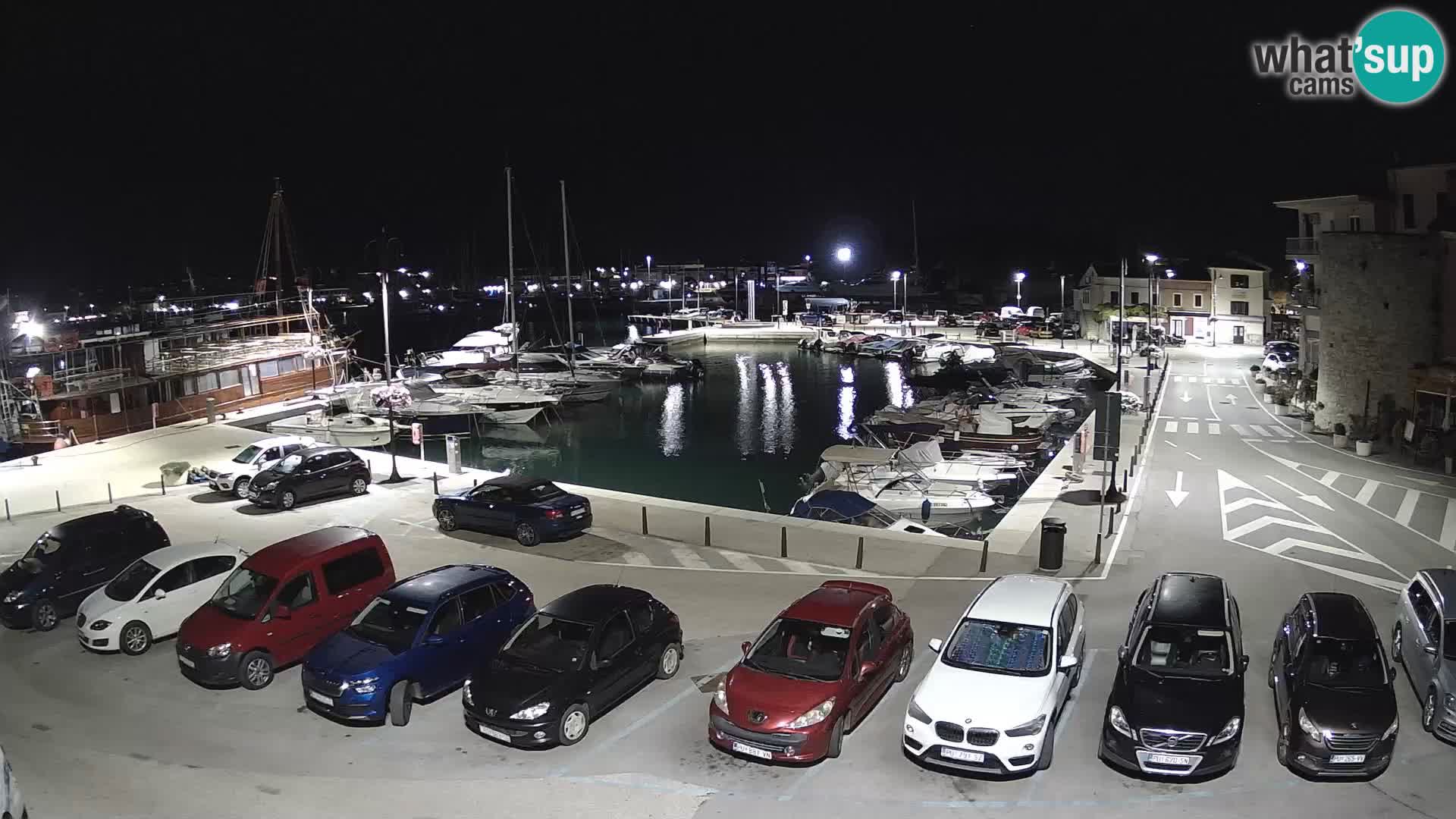 Novigrad | Porporela marina