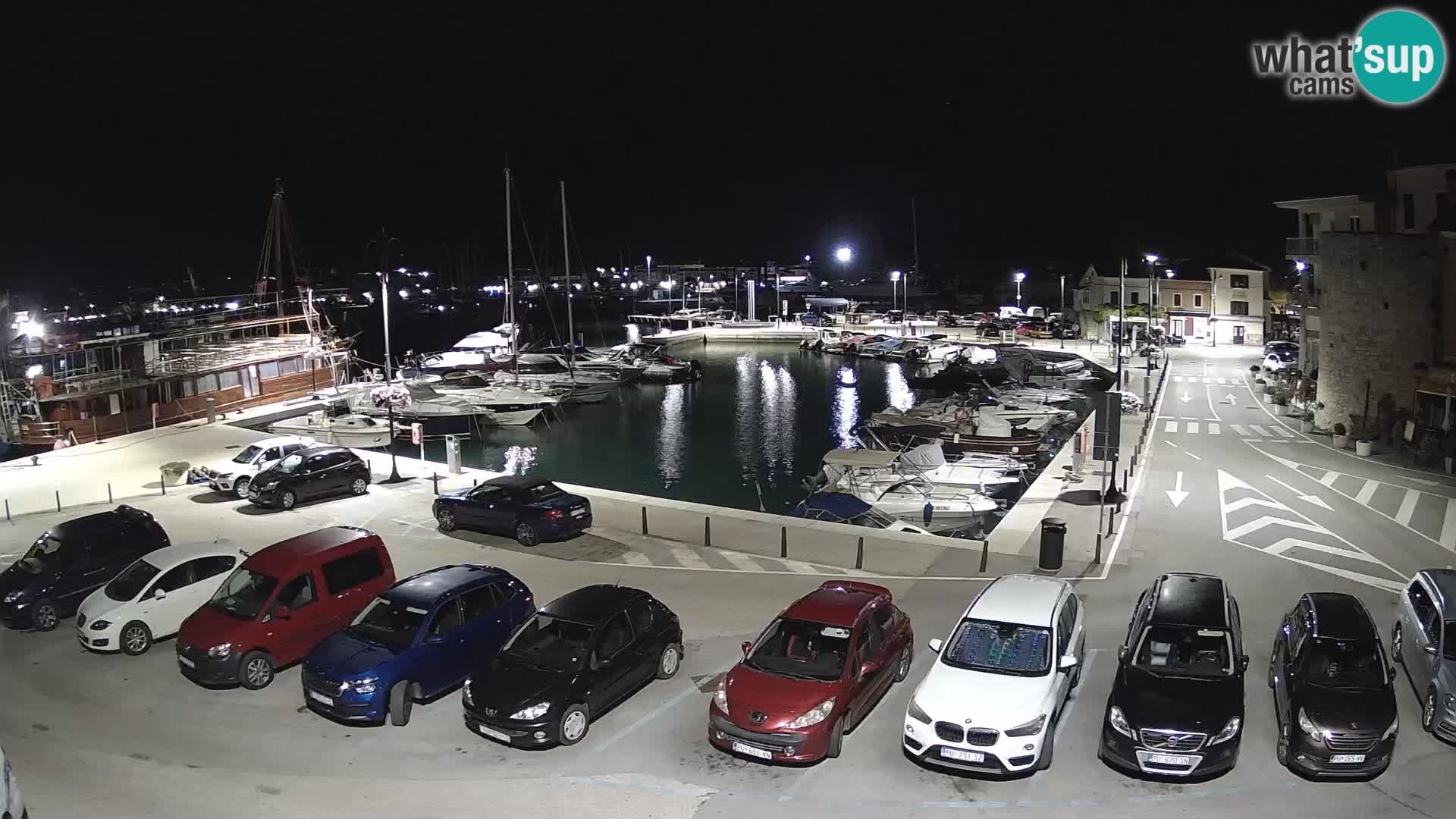 Novigrad | Porporela marina