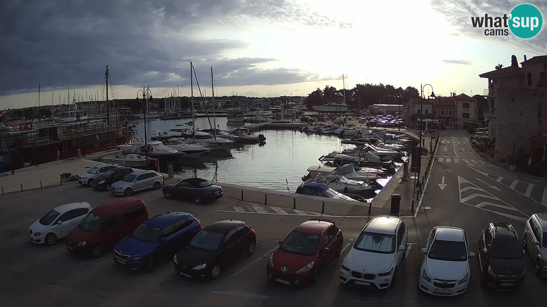 Novigrad | Porporela marina