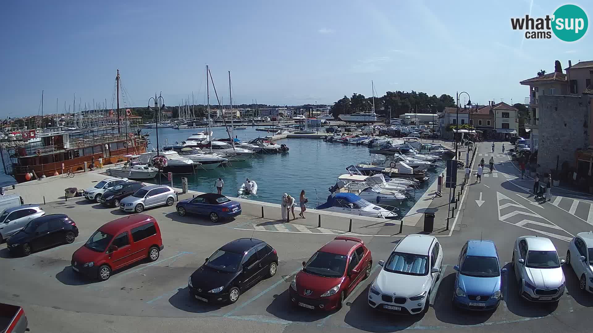 Novigrad | Porporela marina