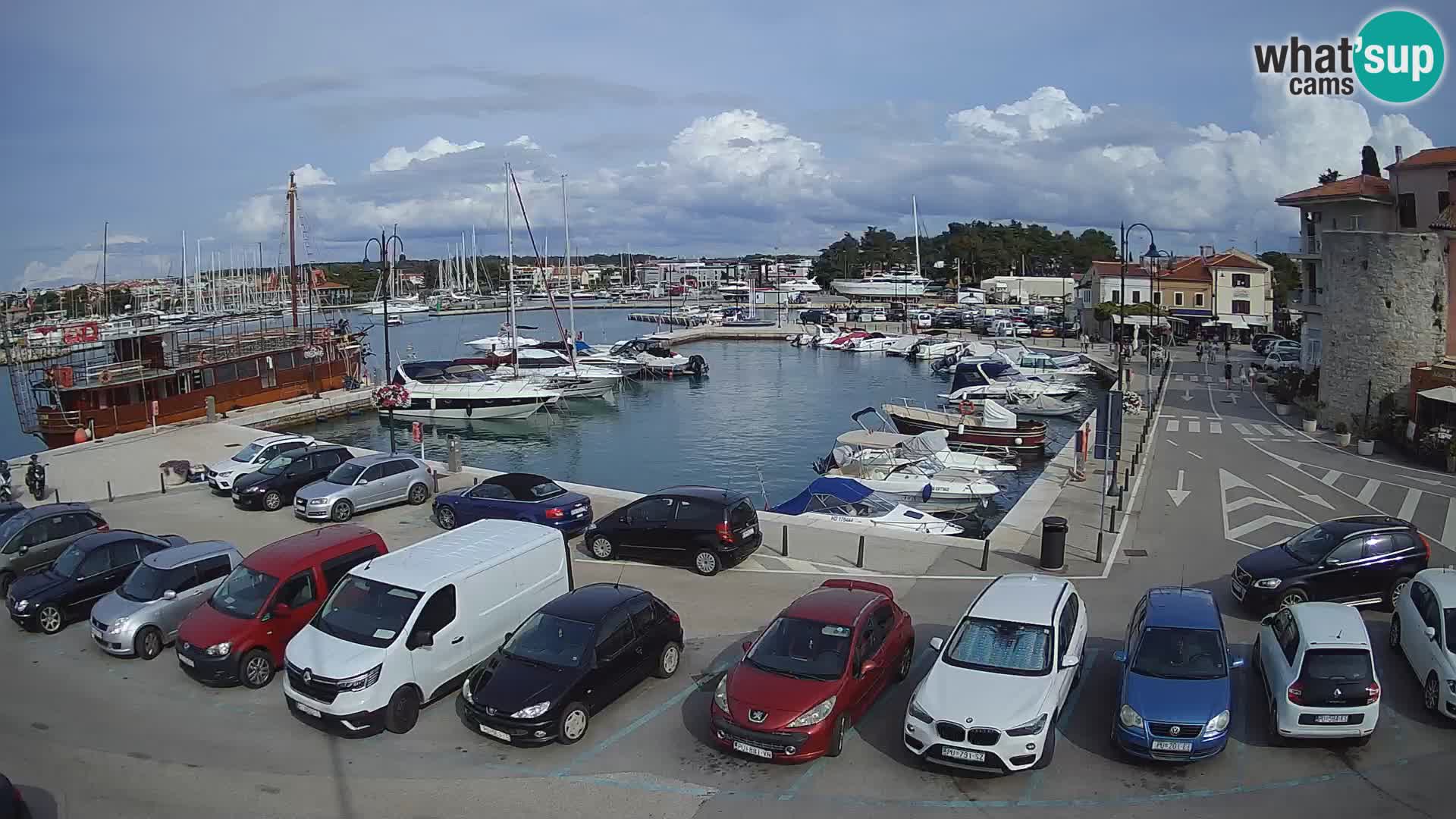 Novigrad | Porporela marina
