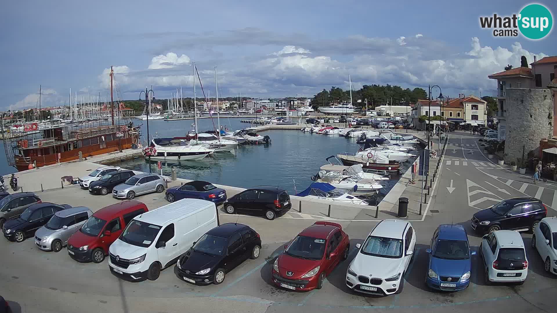 Novigrad | Porporela marina
