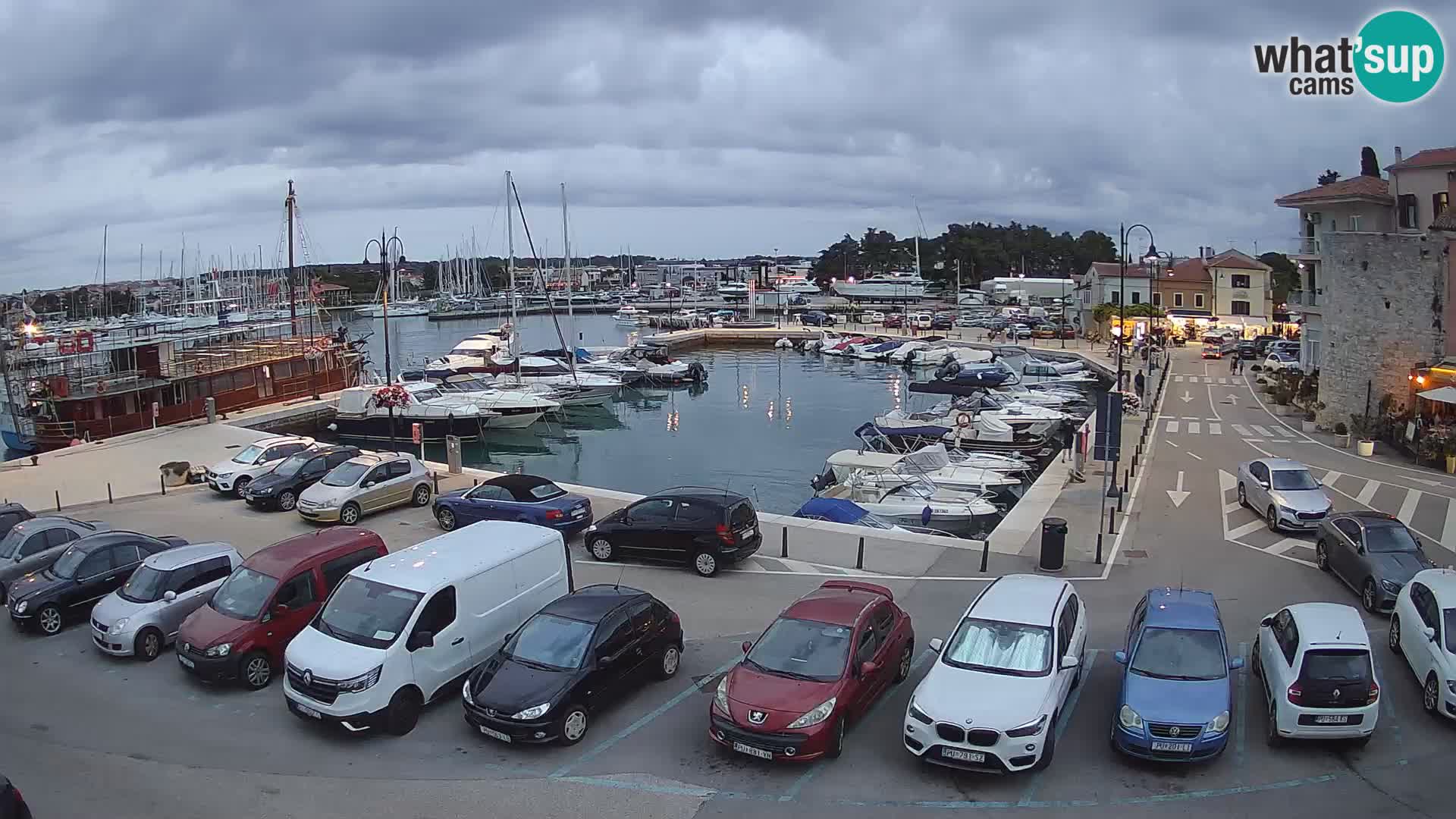 Novigrad | Porporela marina