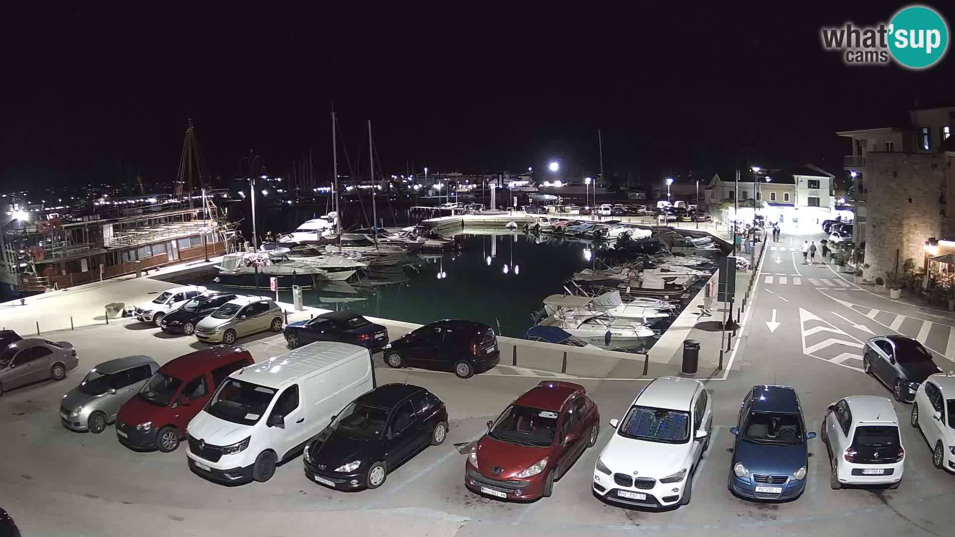 Novigrad | Porporela marina