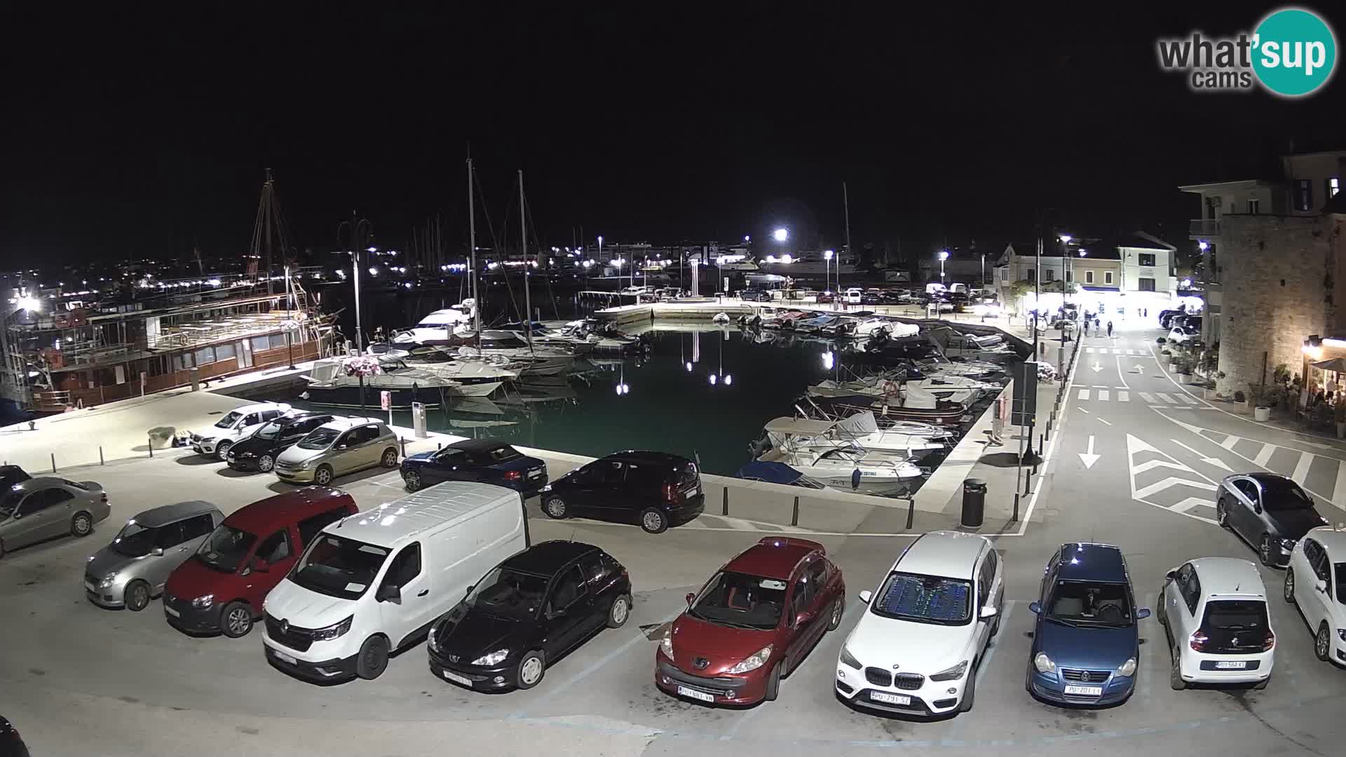 Novigrad | Porporela marina