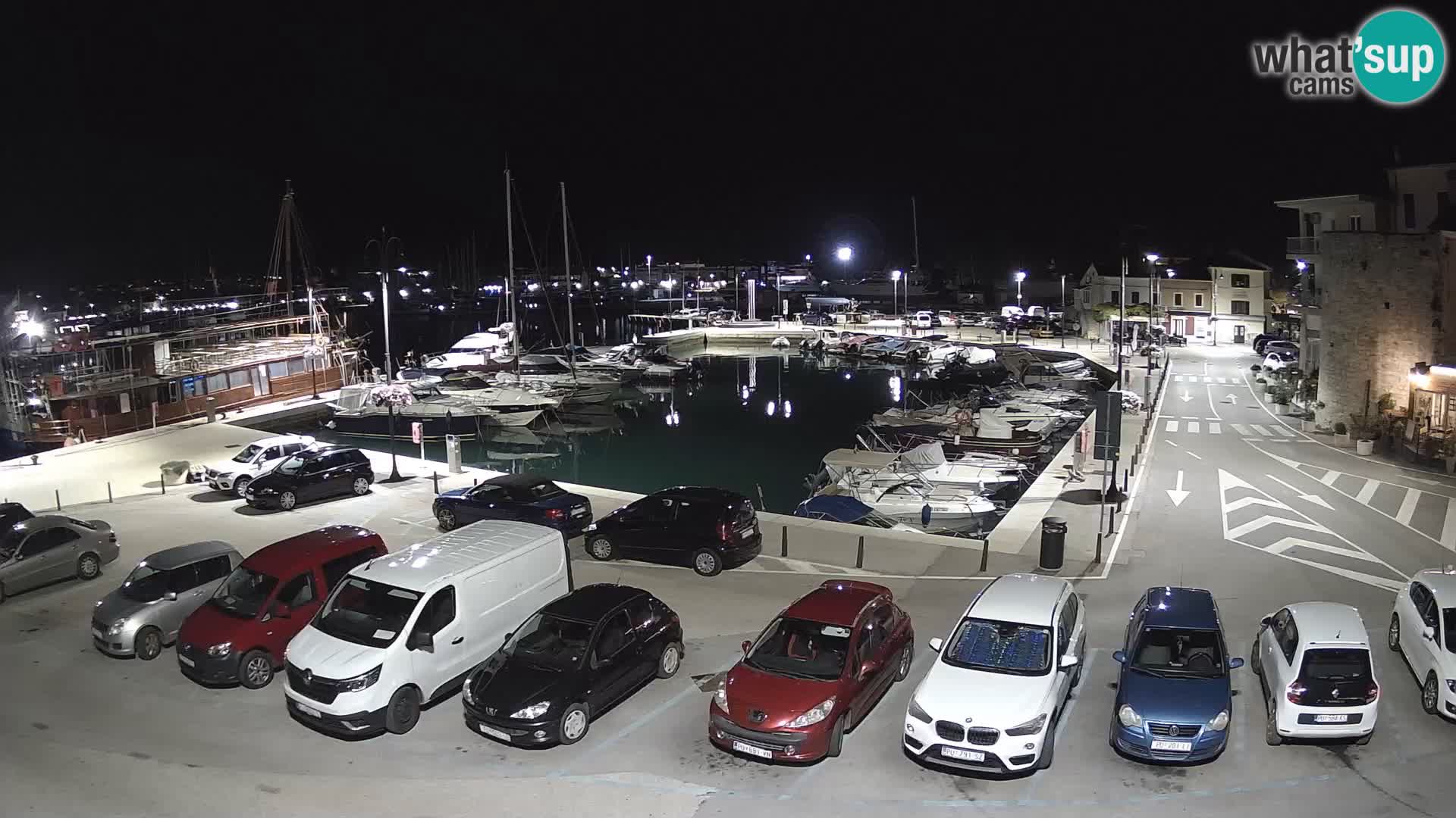 Novigrad | Porporela marina