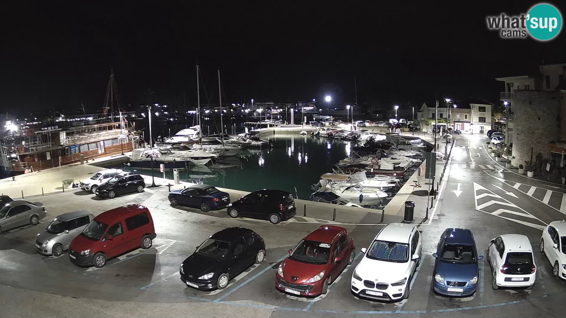 Novigrad | Porporela marina