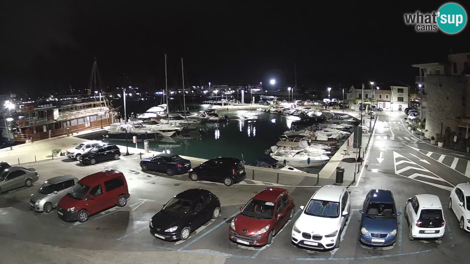 Novigrad | Porporela marina