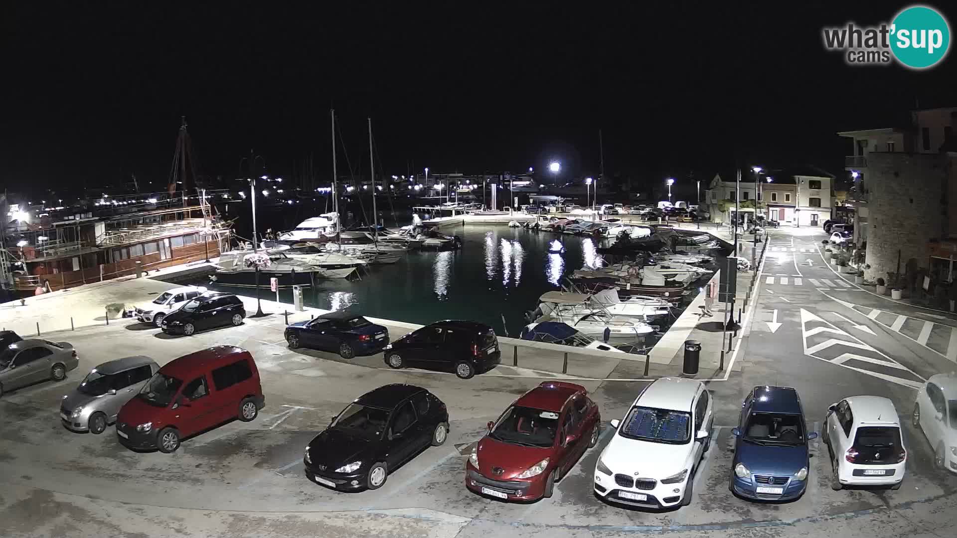 Novigrad | Porporela marina