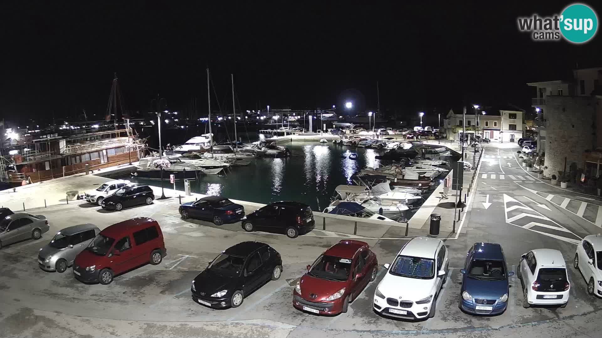 Novigrad | Porporela marina