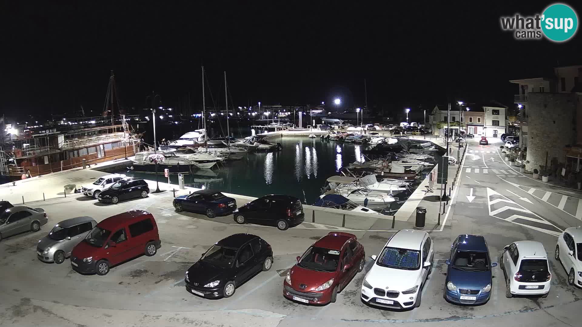 Novigrad | Porporela marina