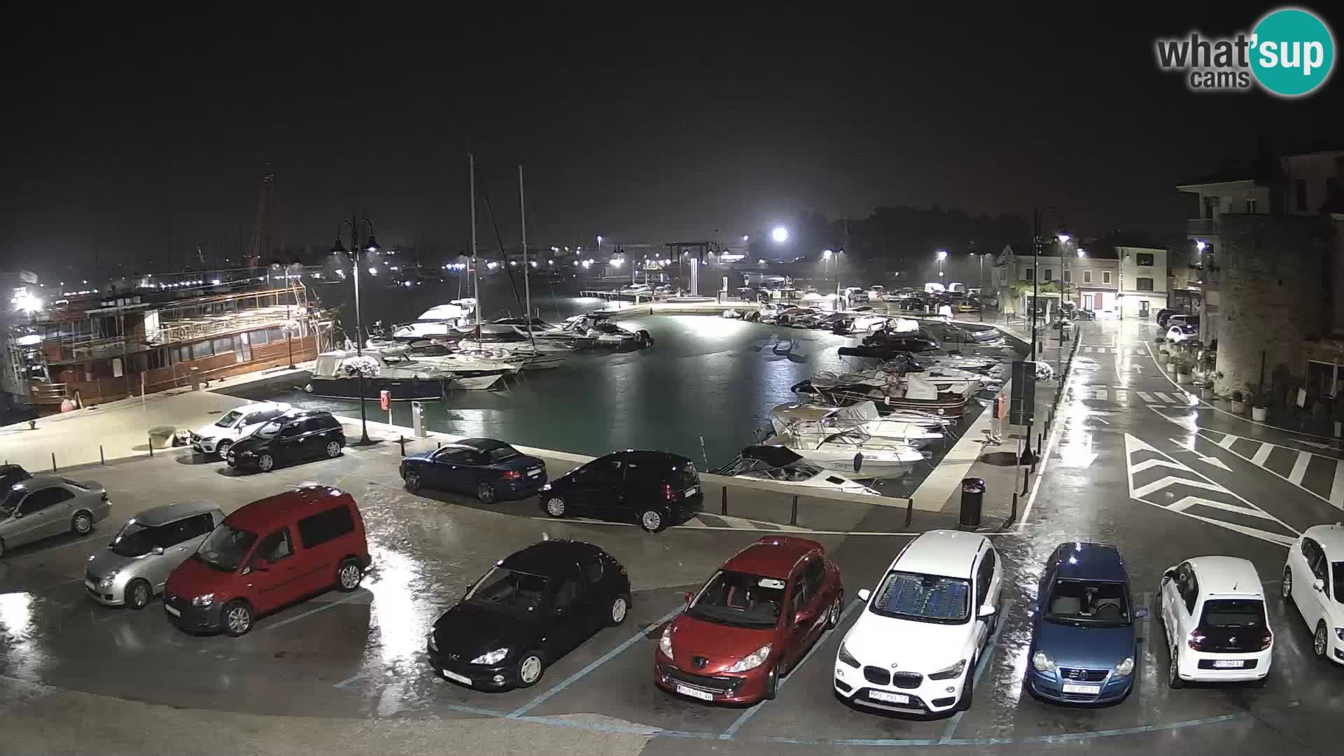 Novigrad | Porporela marina