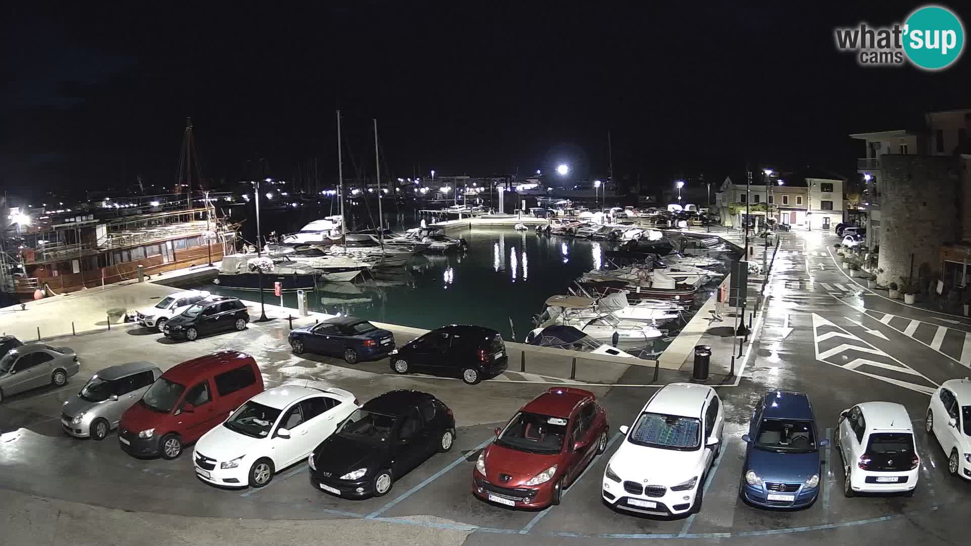 Novigrad | Porporela marina
