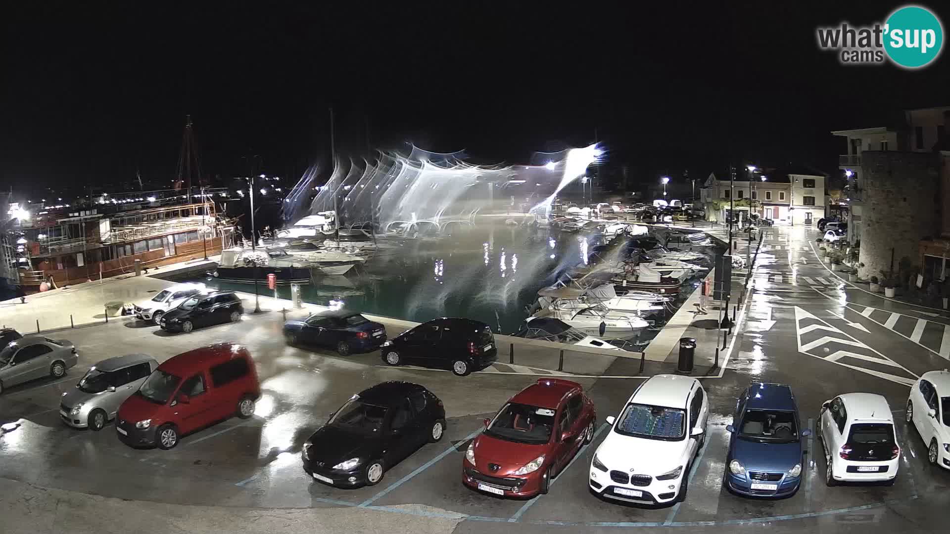 Novigrad | Porporela marina
