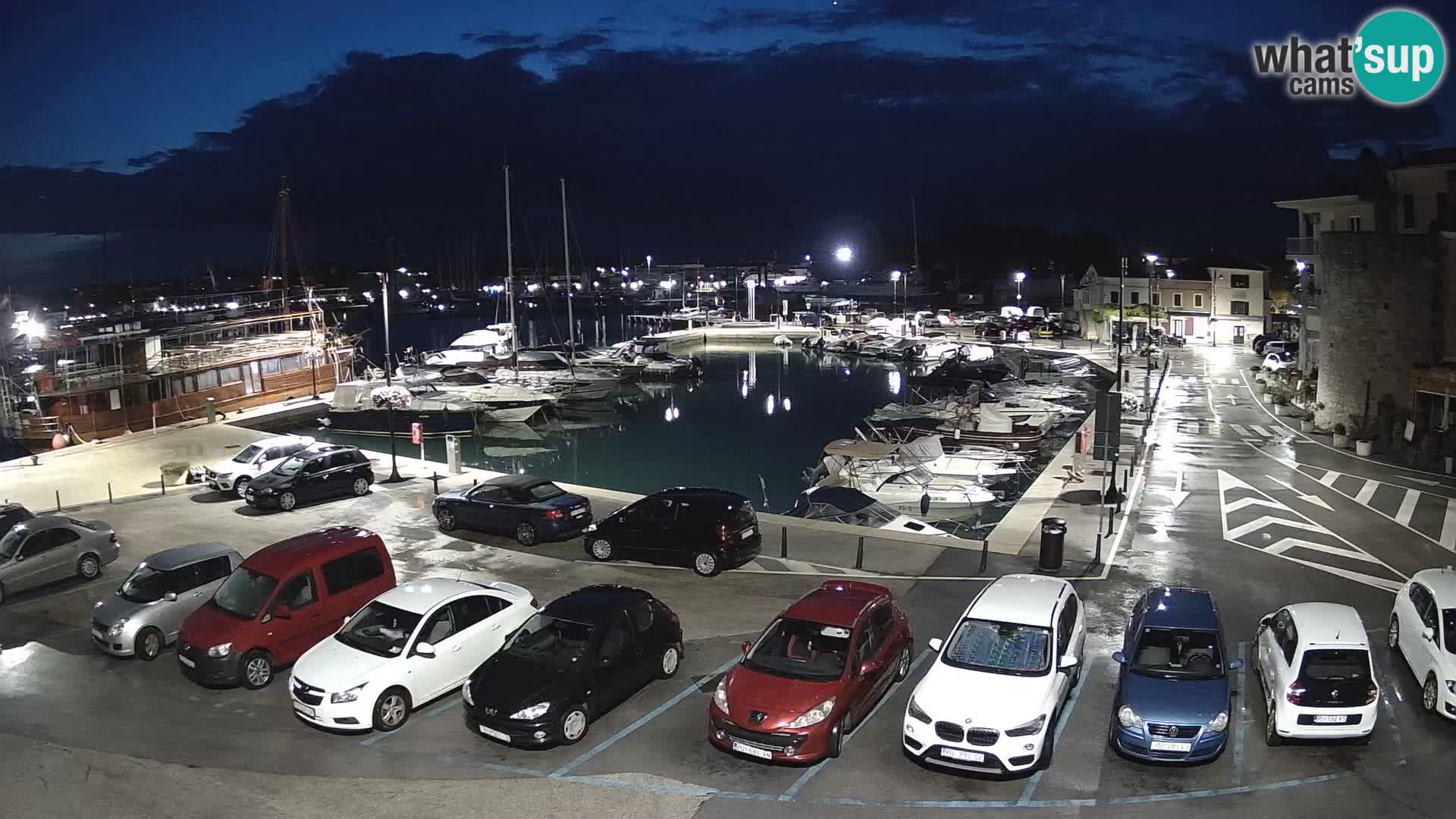 Novigrad | Porporela marina
