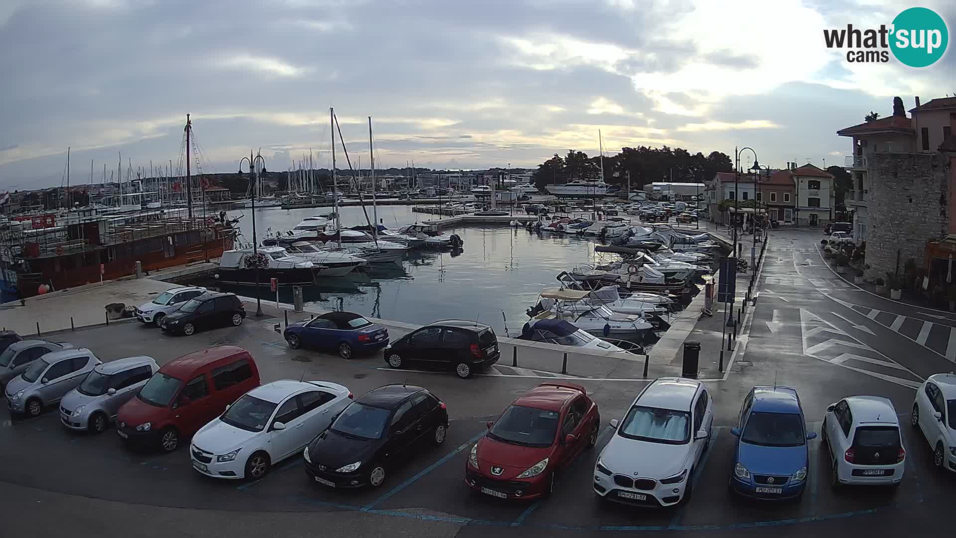 Novigrad | Porporela marina