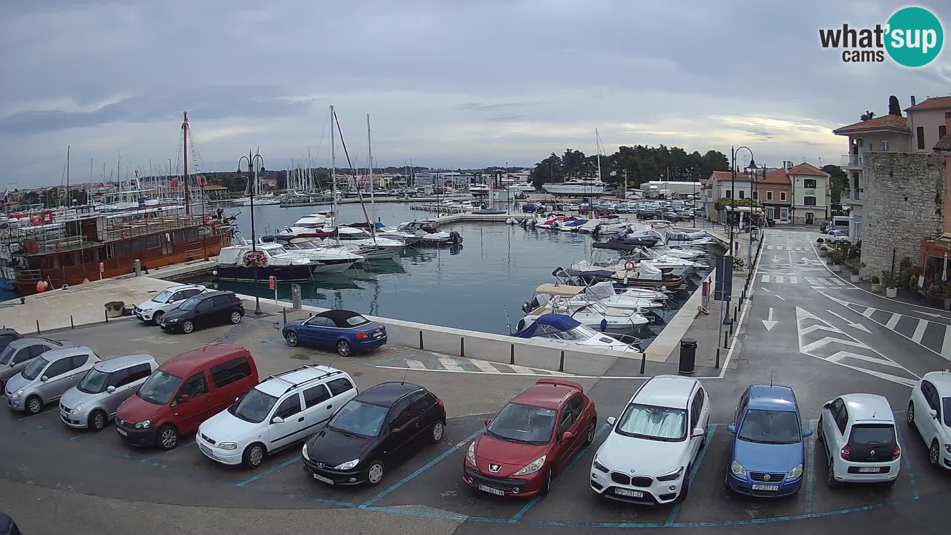 Novigrad | Porporela marina