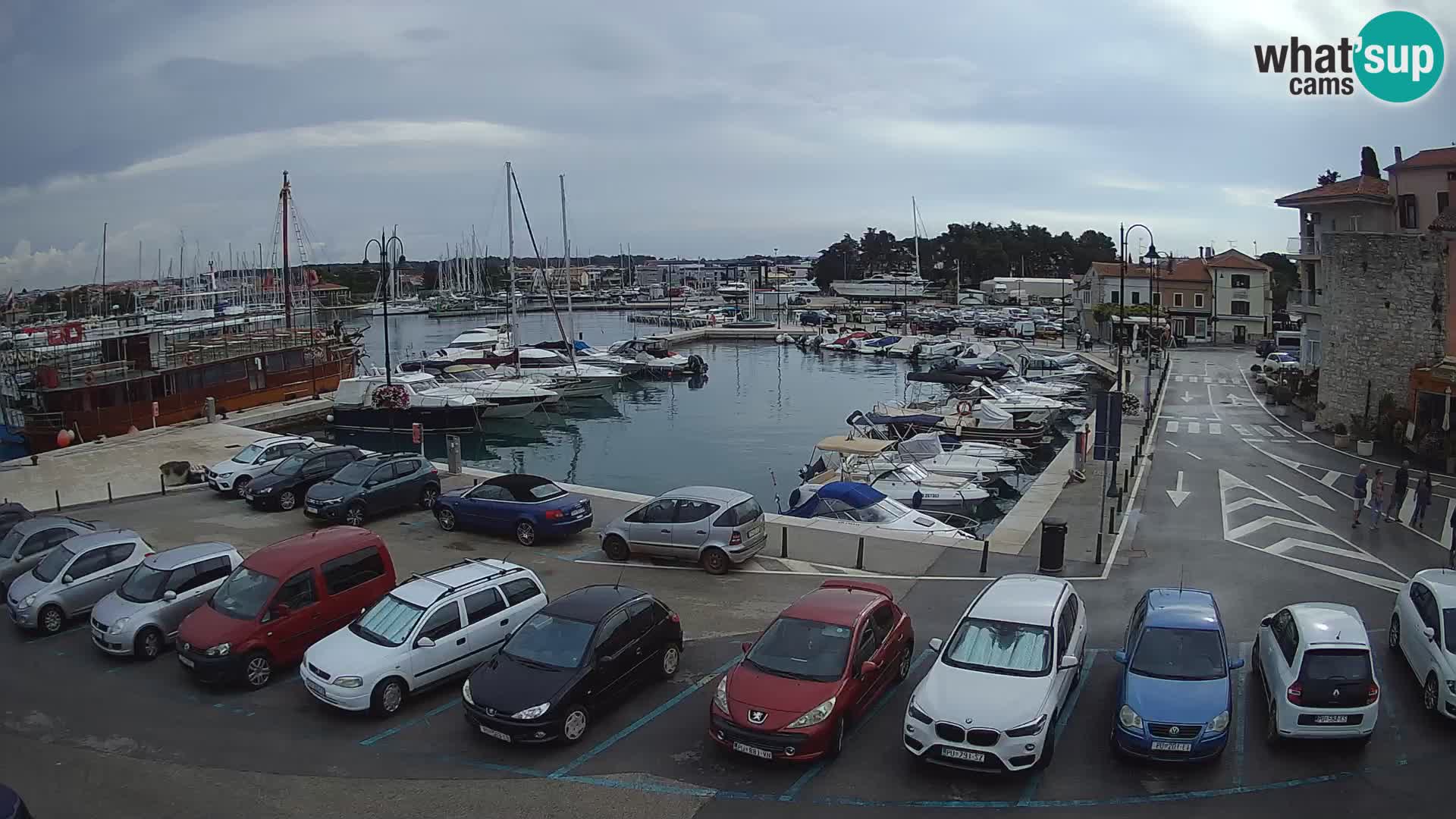 Novigrad | Porporela marina
