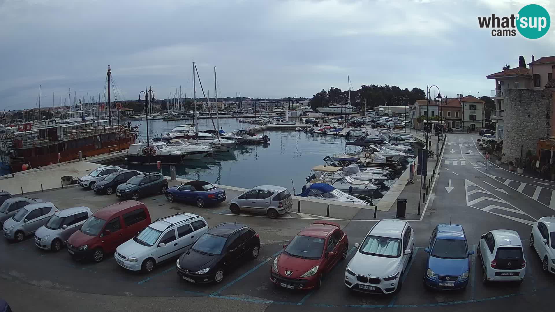 Novigrad | Porporela marina