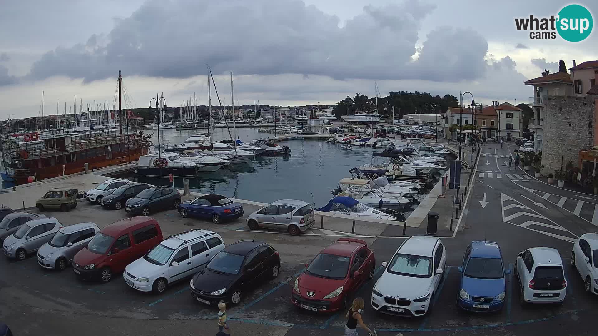 Novigrad | Porporela marina
