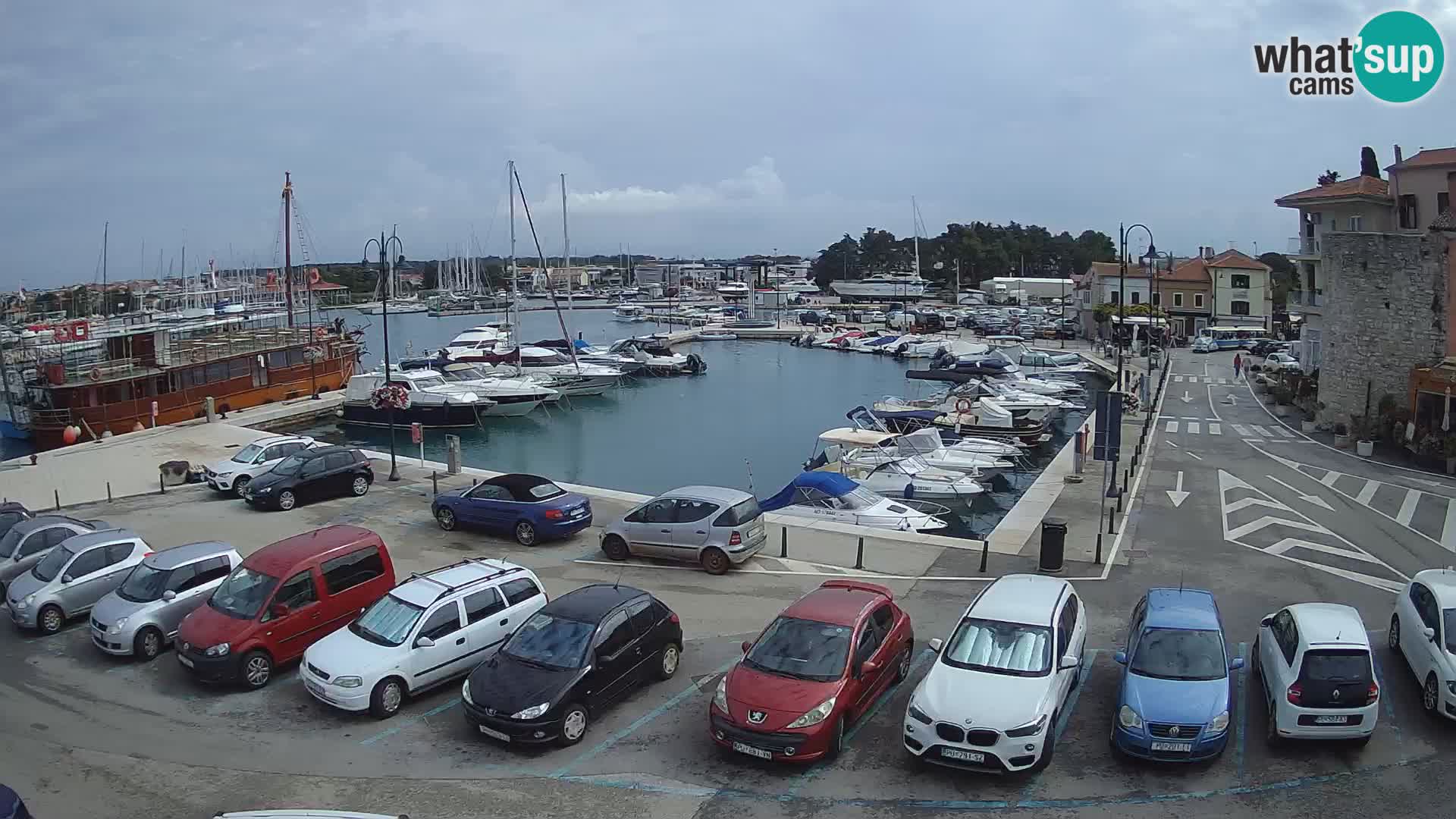 Novigrad | Porporela marina