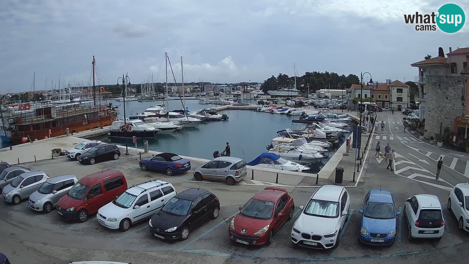 Novigrad | Porporela marina