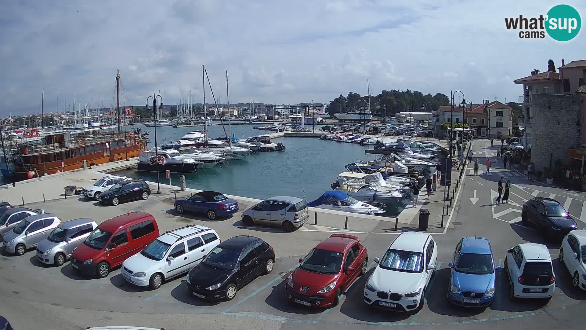 Novigrad | Porporela marina