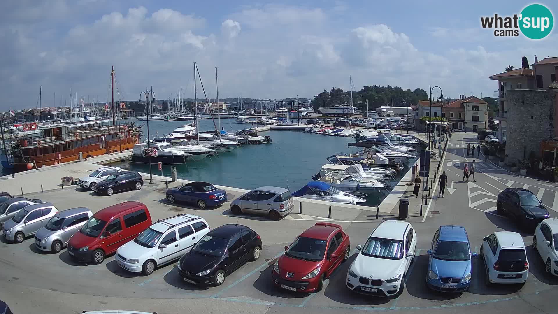 Novigrad | Porporela marina