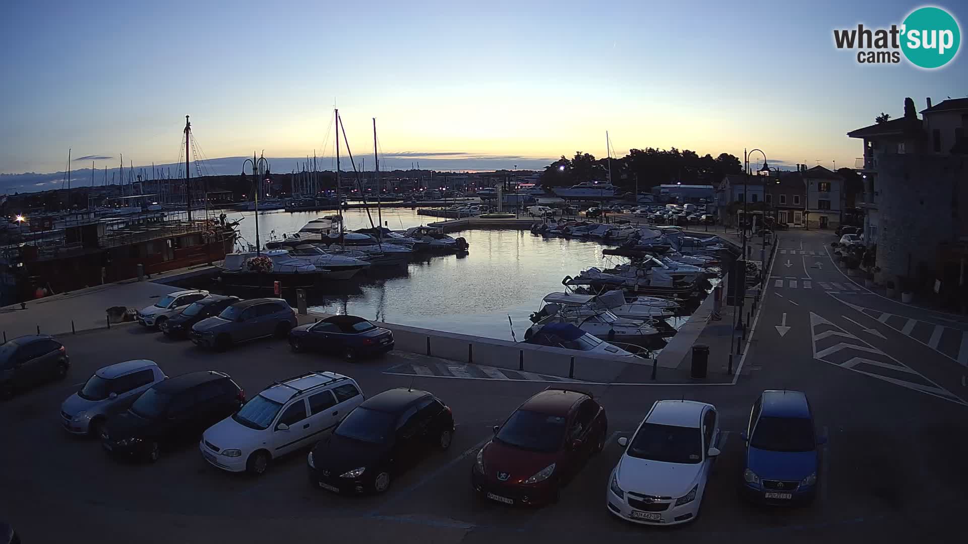 Novigrad | Porporela marina