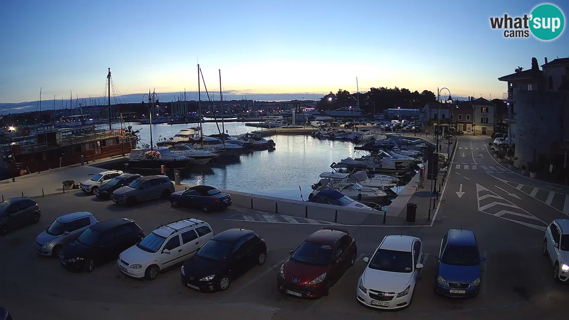 Novigrad | Porporela marina
