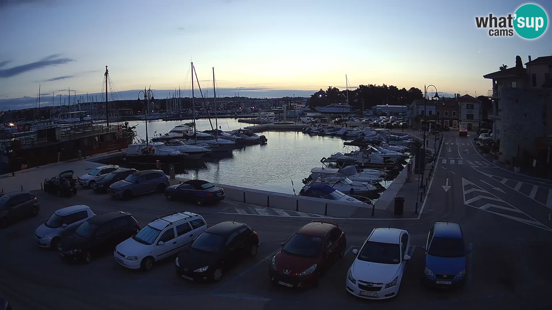 Novigrad | Porporela marina