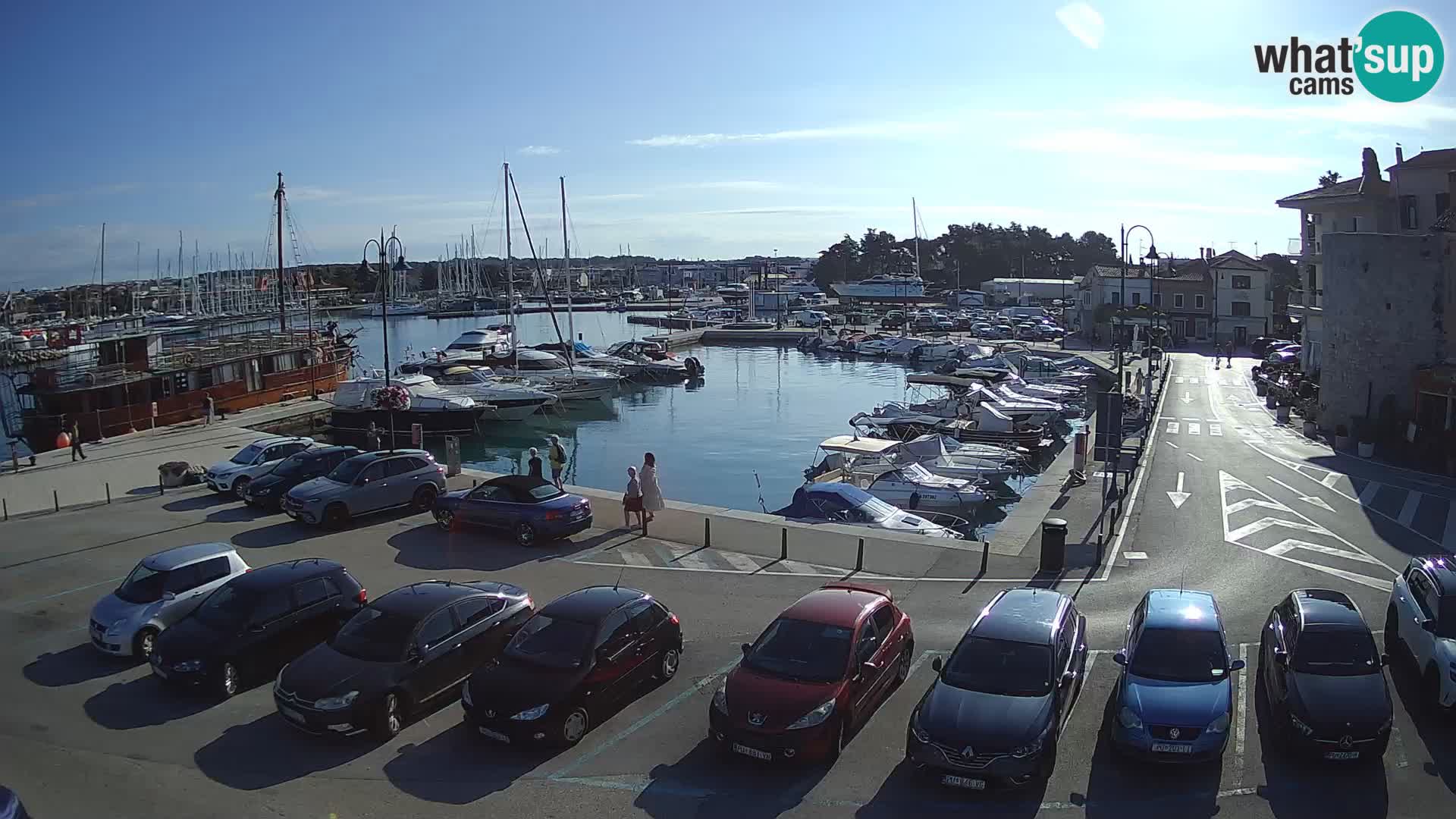 Novigrad | Porporela marina