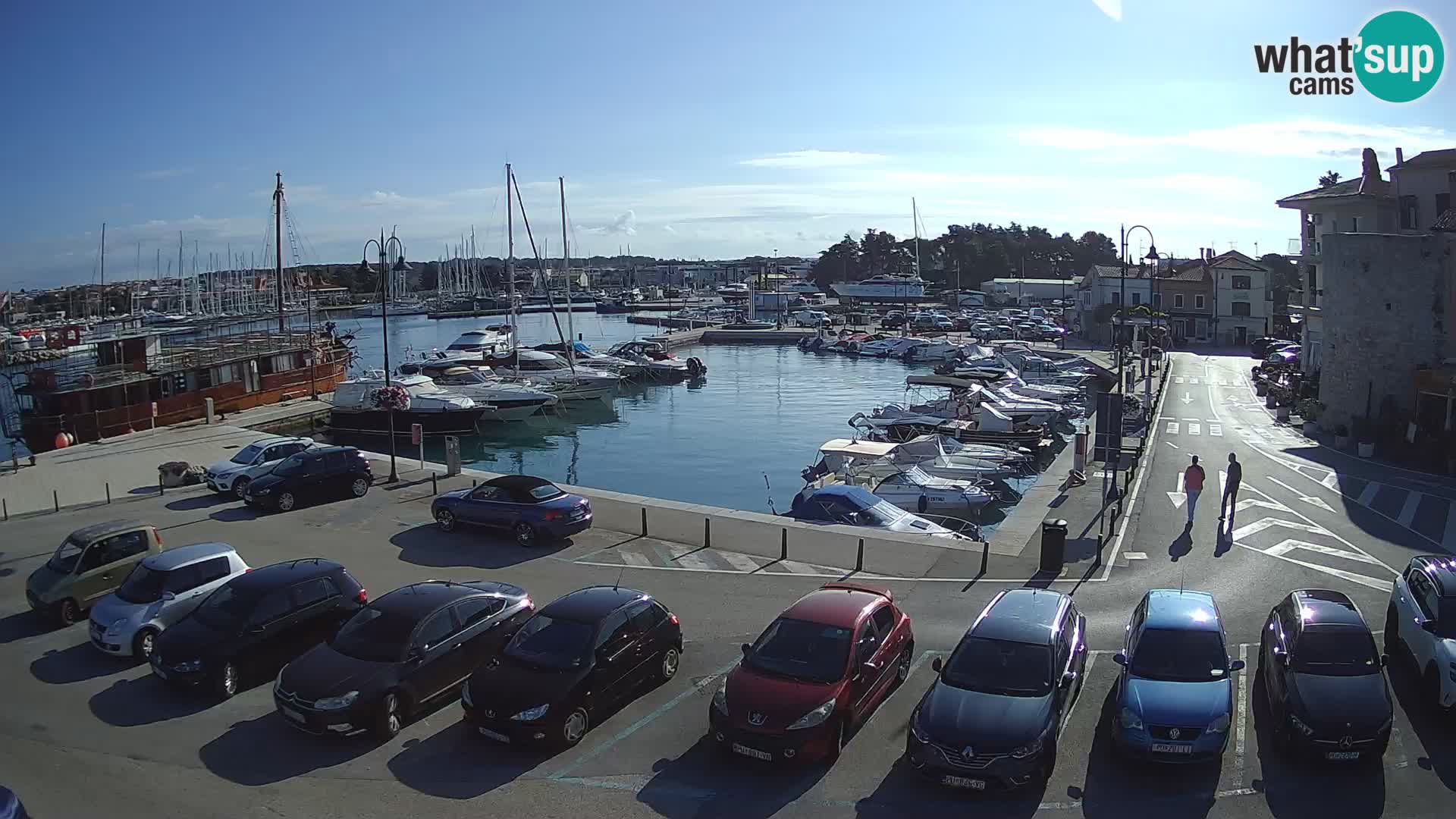 Novigrad | Porporela marina