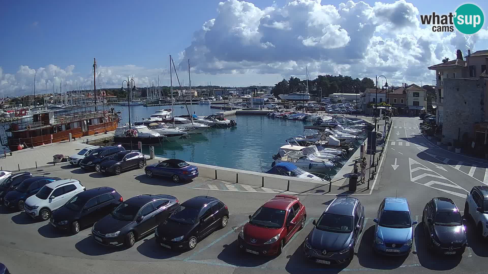 Novigrad | Porporela marina