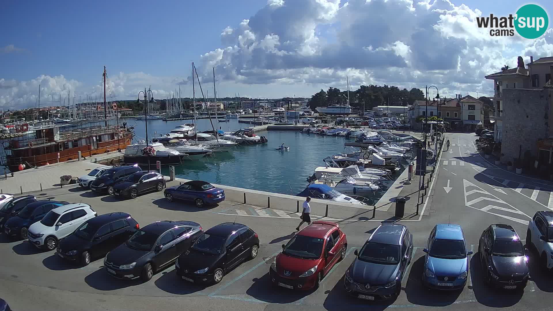 Novigrad | Porporela marina