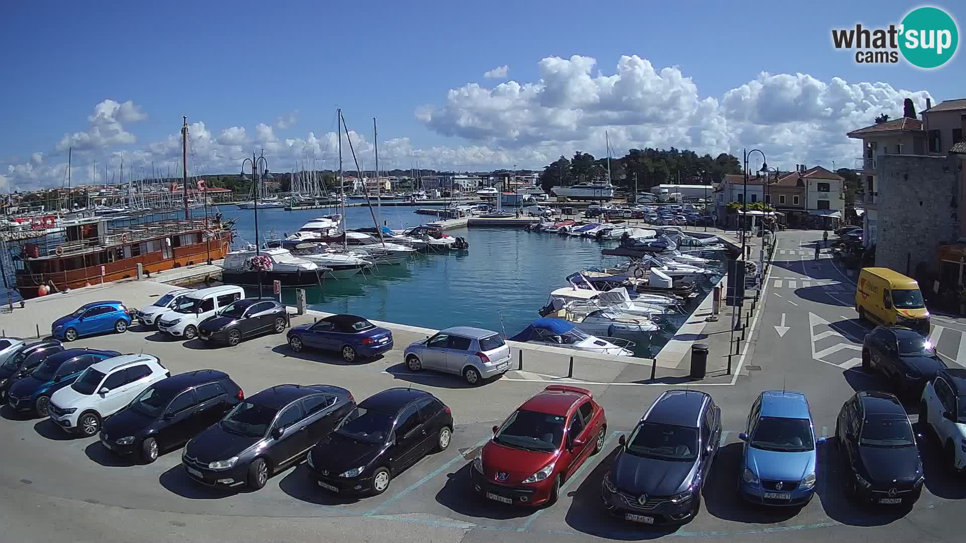 Novigrad | Porporela marina