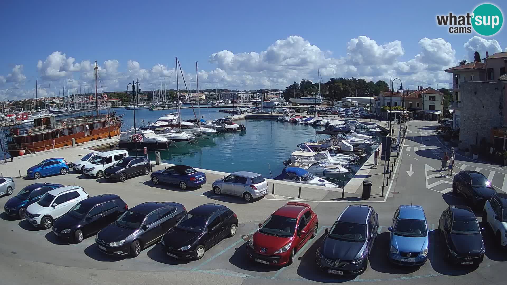 Novigrad | Porporela marina