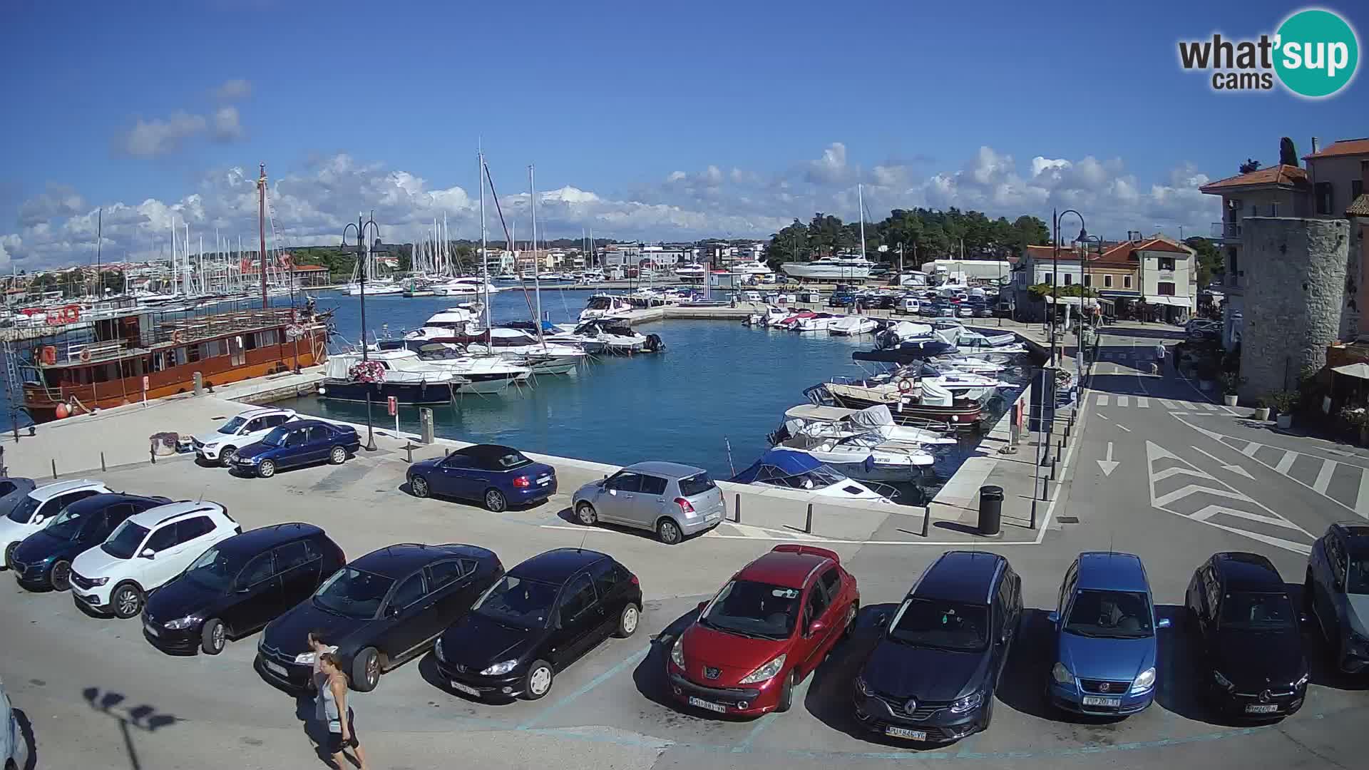Novigrad | Porporela marina