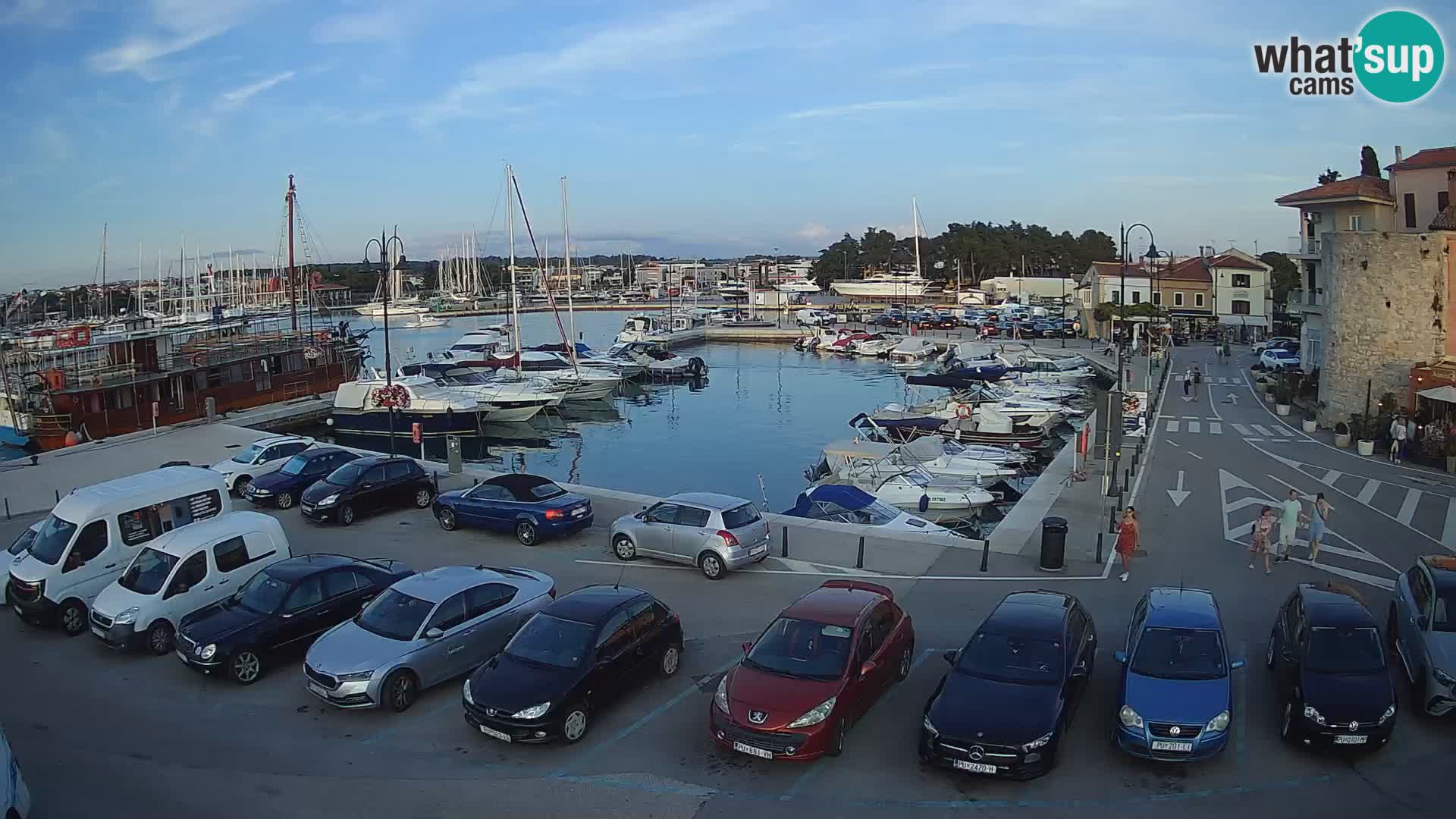 Novigrad | Porporela marina