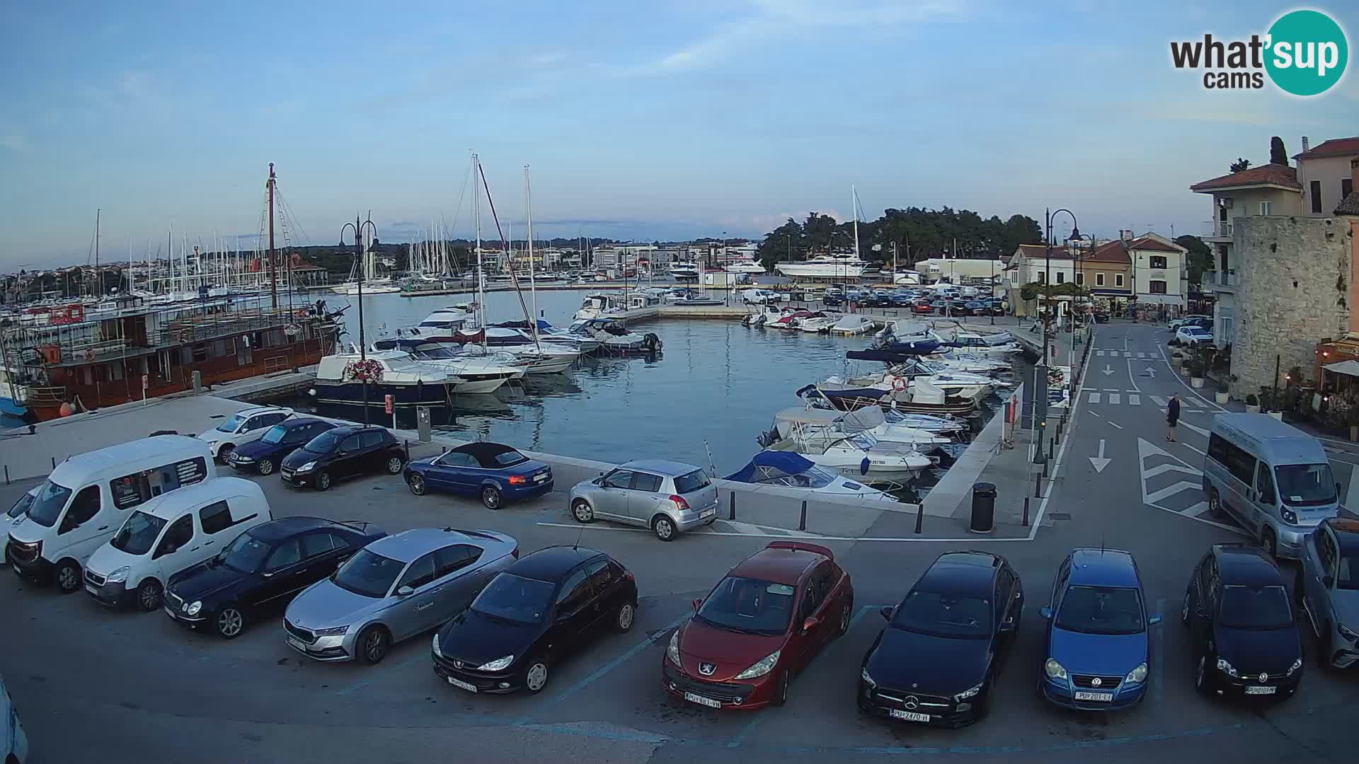 Novigrad | Porporela marina