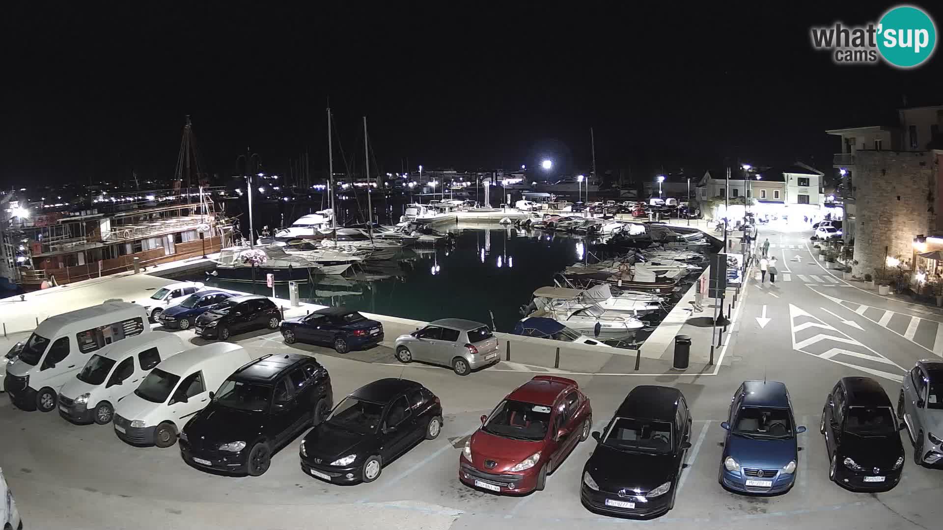 Novigrad | Porporela marina